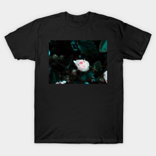 Rose in the Dark - macro photography T-Shirt